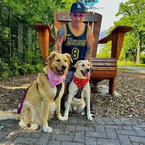 Meet your Posher, Mark